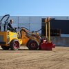 Knikmops-geco-leveller
