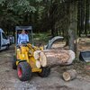 Knikmops - Palletvork met klauw