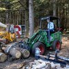 Knikmops - Palletvork met klauw