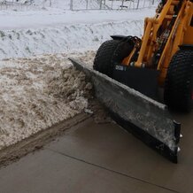 Knikmops-Sneeuwschaaf