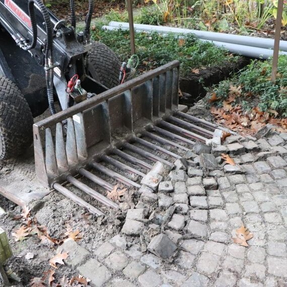 Knikmops-Tegelriek
