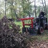 Knikmops-Tegelriek met klauw