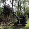 Knikmops-Tegelriek met klauw